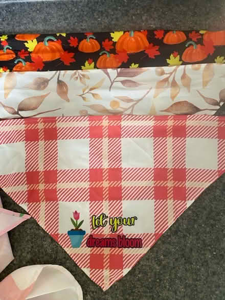 Photo of free Dog accessories Small (Crownsville/Gambrills/Crofton) #4