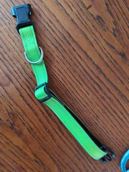 Photo of free Cat collar and dog collar (Botley OX2) #2