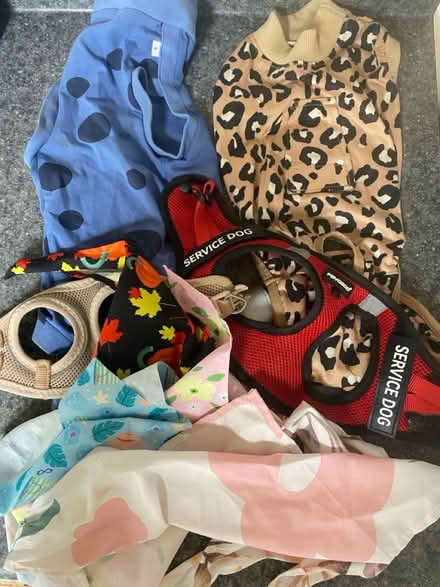 Photo of free Dog accessories Small (Crownsville/Gambrills/Crofton) #1