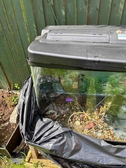 Photo of free Fish Tank Large Moulded Glass (Pangbourne RG8) #2