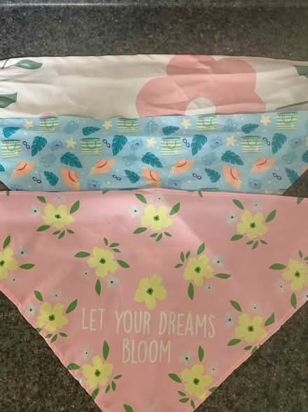 Photo of free Dog accessories Small (Crownsville/Gambrills/Crofton) #3