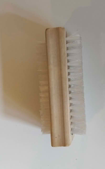 Photo of free Small Brush (islington N1) #1