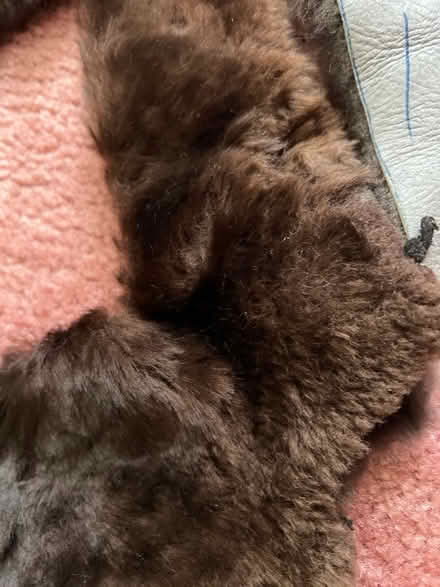 Photo of free Leather/ fur scraps (Purley CR8) #2