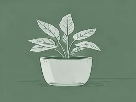 Photo of Very large outdoor plant pots (Congleton CW12) #1