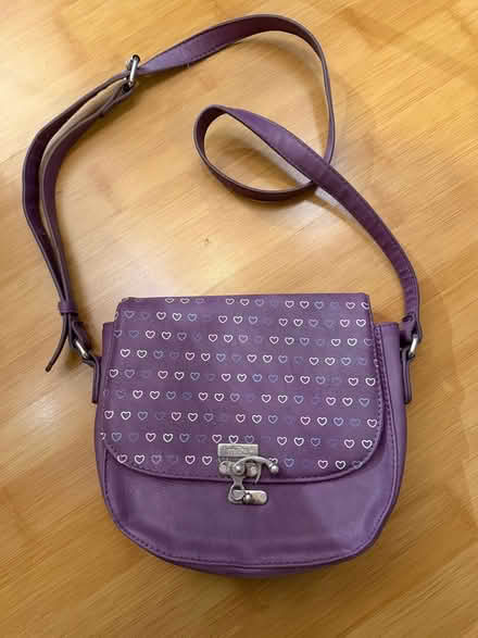 Photo of free Purse for girl (Sunnyvale (Wolfe)) #1