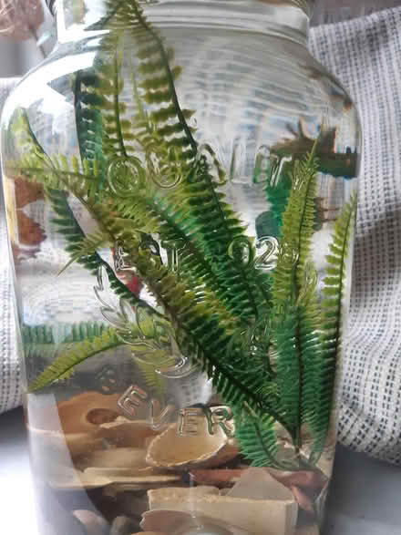 Photo of free 3 seahorses water-art installation (Edinburgh EH17) #3