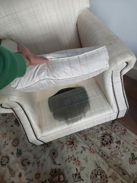 Photo of free Armchair with stains (Kilmainham lane) #4