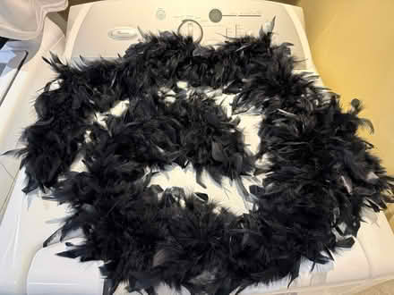 Photo of free Feather Boa (Erin Mills&QEW) #1