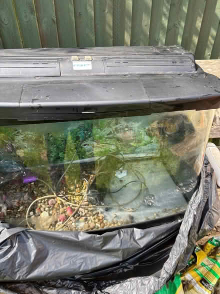 Photo of free Fish Tank Large Moulded Glass (Pangbourne RG8) #3