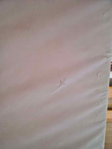 Photo of free Toddler bed (Walnut Tree MK7) #3