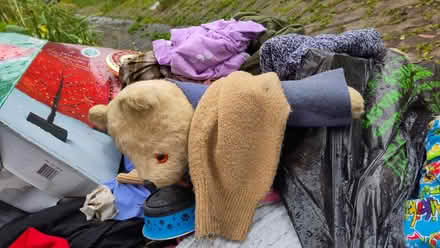 Photo of free Vintage teddy bears (Levenshulme M19) #2