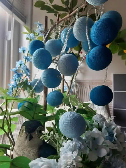 Photo of free Light-up blue bird installation (Edinburgh EH17) #1