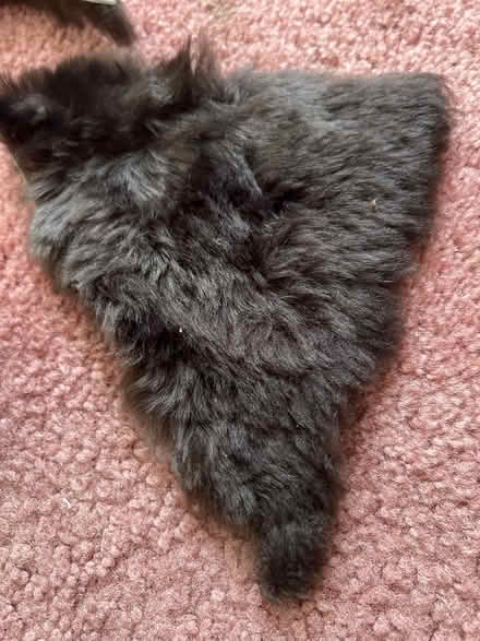 Photo of free Leather/ fur scraps (Purley CR8) #3