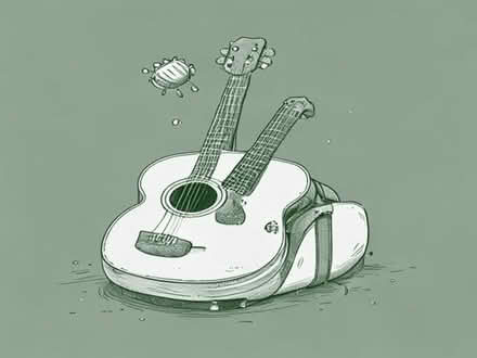 Photo of Softcase for acoustic guitar (Putnoe MK41) #1