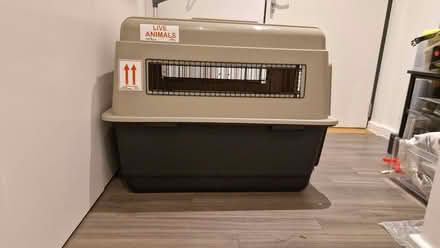 Photo of free Large Dog Carrier (Acton W3) #3