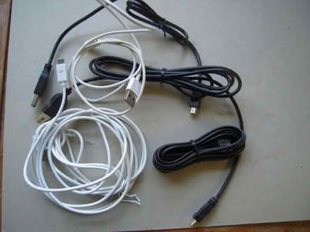 Photo of free Odd USB cables (Maidenhead SL6) #1