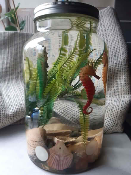 Photo of free 3 seahorses water-art installation, in retro water jar (Gilmerton EH17) #2