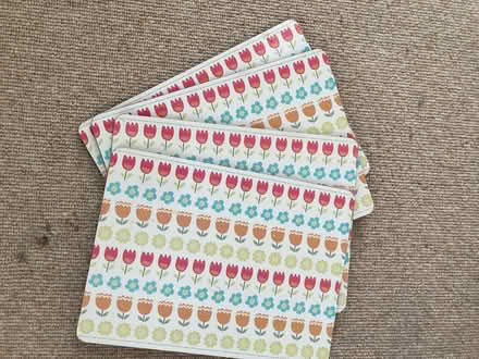 Photo of free Place mats (Leigh Park BA13) #1