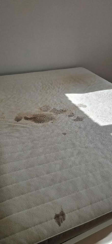 Photo of free Ikea sultan King size mattress (Mill Hill, Copthall NW7) #2