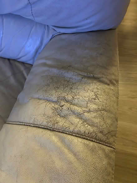 Photo of free 3 seater sofa & lazyboy (Copacabana) #3
