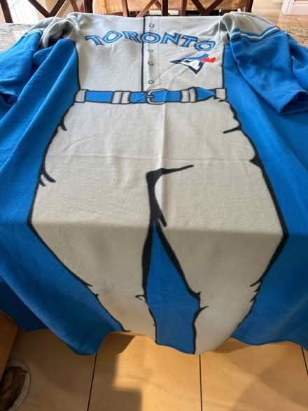 Photo of free Toronto Blue Jays wearable blanket (Erin Mills&QEW) #2