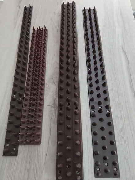 Photo of free Animal deterrent (Stubbington PO14) #1
