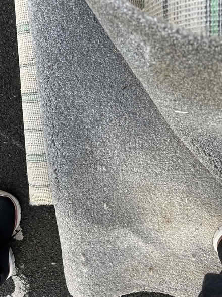 Photo of free Carpet and thick underlay (Southport PR9) #2