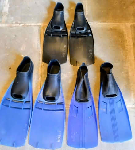 Photo of free Swimming Flippers (Hereford HR4) #1
