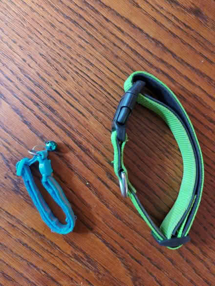 Photo of free Cat collar and dog collar (Botley OX2) #1