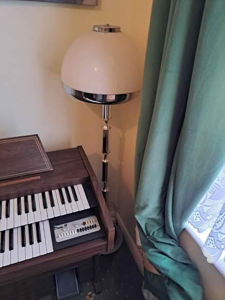 Photo of free Standing Lamp (Crofton Park, Brockley) #3