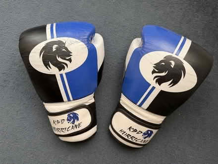 Photo of free Boxing gloves (Round Hill BN2) #2