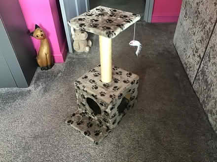 Photo of free Cat scratching tree (Morley LS27) #1