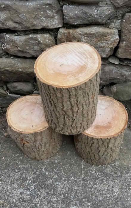 Photo of Tree stump suitable for stool. (Normanton DE23) #1