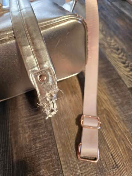 Photo of free Disney backpack (damaged strap) (Sterling Heights) #3