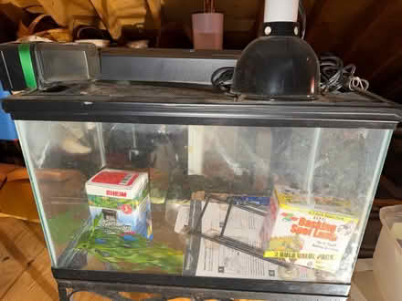 Photo of free Terrarium and Turtle Supplies (Maynard) #4