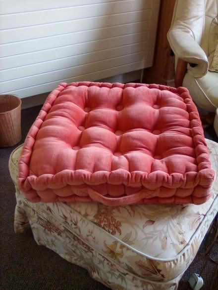 Photo of free Portable booster cushion (Alice Bright Lane area TN6) #2