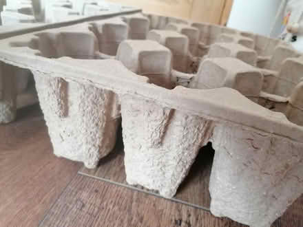 Photo of free Sturdy cardboard trays (Presteigne LD8) #2