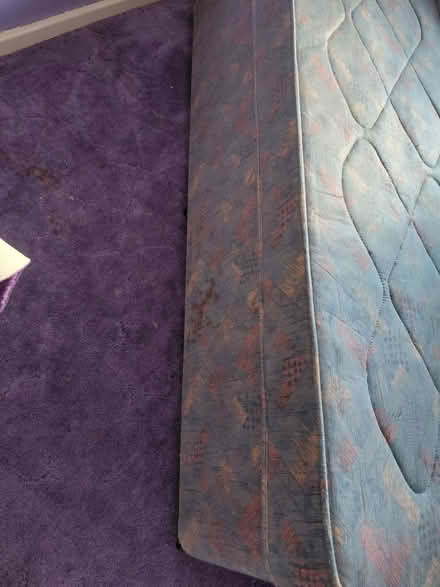 Photo of free Single bed and mattress (B97) #3