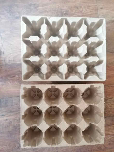 Photo of free Sturdy cardboard trays (Presteigne LD8) #1