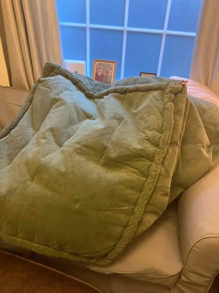 Photo of free Green Beanbag (London) #2