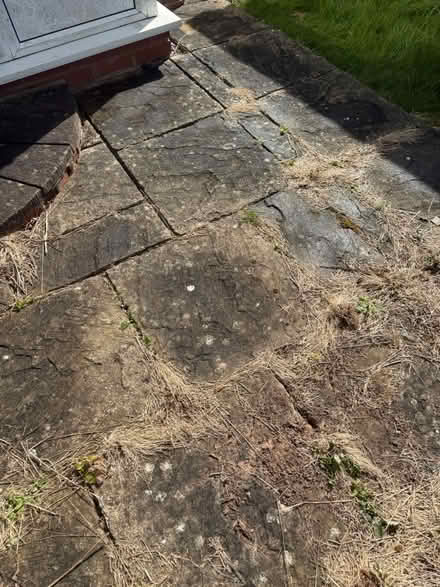 Photo of free 2x2 York Buff Slabs (CV5) #3