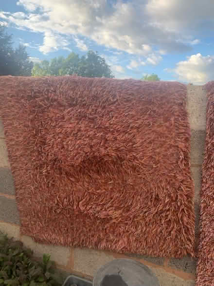 Photo of free Rugs (Yardley B25) #3
