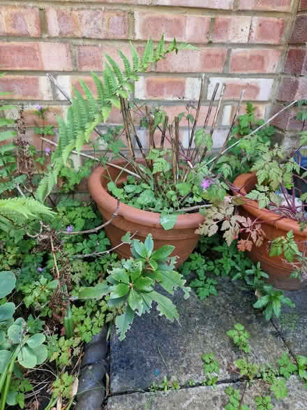 Photo of free Stone planters, terracotta pots, bench (Englefield Green TW20) #4