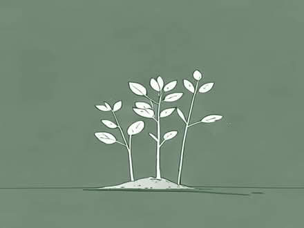 Photo of free Saplings (Malvern WR14) #1