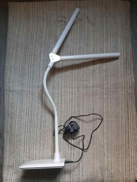 Photo of free Old daylight lamp, 2 arms, 3 levels (Edinburgh EH17) #1