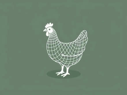 Photo of Chicken mesh (Pelsall WS3) #1