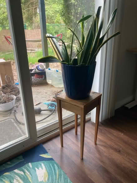 Photo of free Plant Stand (Delridge West Seattle) #1