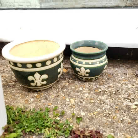 Photo of free 14 plant pots (Oxlease AL10) #3