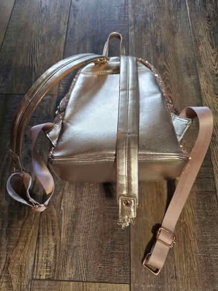 Photo of free Disney backpack (damaged strap) (Sterling Heights) #2