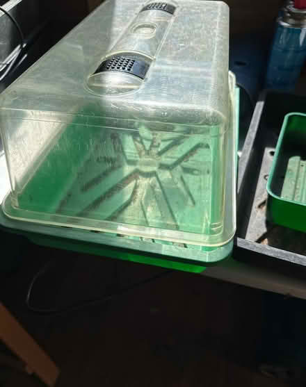 Photo of free Heated propagator and seed trays (Burpham, Guildford) #2